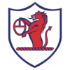 https://img.hf-zxcg.com/img/football/team/11fb72f7b5eacfc881ee11bac75871fa.png